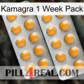 Kamagra 1 Week Pack levitra2